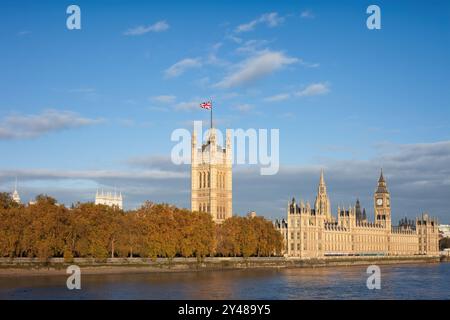 Mouettes à Londres, Royaume-Uni Banque D'Images