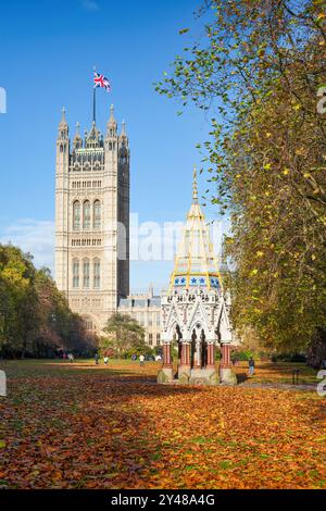 Chambres du Parlement à Londres, Angleterre, Royaume-Uni en automne. Banque D'Images