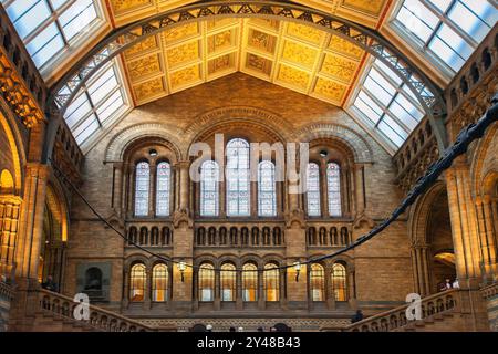 Natural History Museum de Londres, au Royaume-Uni. Banque D'Images