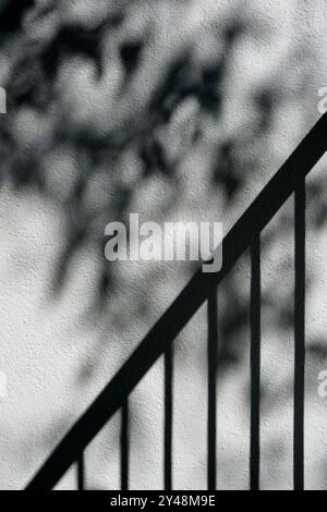 Rampe métallique et ombres projetées sur un mur par des branches d'arbres Banque D'Images