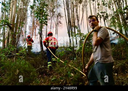 Sever do Vouga, Portugal. 16 septembre 2024. Les pompiers combattent un feu de forêt à Busturenga. Les villageois et les pompiers combattent un feu de forêt à Busturenga, Sever do Vouga. Plus de 1 000 pompiers ont combattu un incendie de forêt dans le nord du Portugal alors que les responsables avertissaient que des milliers d'hectares étaient menacés par la flambée des températures dans tout le pays. 3 personnes ont été confirmées mortes lors des incendies au Portugal près de Sever de Vouga. Crédit : SOPA images Limited/Alamy Live News Banque D'Images