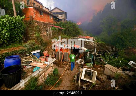 Sever do Vouga, Portugal. 16 septembre 2024. Le villageois tente d'éteindre un feu de forêt alors qu'il approche du village de Busturenga. Les villageois et les pompiers combattent un feu de forêt à Busturenga, Sever do Vouga. Plus de 1 000 pompiers ont combattu un incendie de forêt dans le nord du Portugal alors que les responsables avertissaient que des milliers d'hectares étaient menacés par la flambée des températures dans tout le pays. 3 personnes ont été confirmées mortes lors des incendies au Portugal près de Sever de Vouga. Crédit : SOPA images Limited/Alamy Live News Banque D'Images