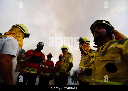 Sever do Vouga, Portugal. 16 septembre 2024. Un groupe de pompiers se réunit pour comprendre où aller pendant le feu de forêt à Busturenga. Les villageois et les pompiers combattent un feu de forêt à Busturenga, Sever do Vouga. Plus de 1 000 pompiers ont combattu un incendie de forêt dans le nord du Portugal alors que les responsables avertissaient que des milliers d'hectares étaient menacés par la flambée des températures dans tout le pays. 3 personnes ont été confirmées mortes lors des incendies au Portugal près de Sever de Vouga. Crédit : SOPA images Limited/Alamy Live News Banque D'Images