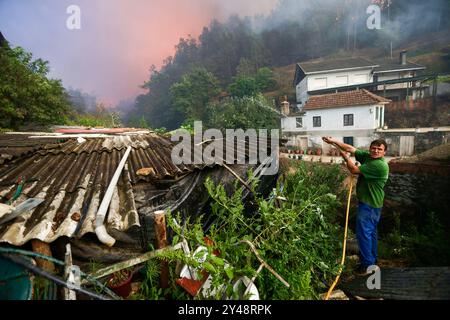 Sever do Vouga, Portugal. 16 septembre 2024. Le villageois tente d'éteindre un feu de forêt alors qu'il approche du village de Busturenga. Les villageois et les pompiers combattent un feu de forêt à Busturenga, Sever do Vouga. Plus de 1 000 pompiers ont combattu un incendie de forêt dans le nord du Portugal alors que les responsables avertissaient que des milliers d'hectares étaient menacés par la flambée des températures dans tout le pays. 3 personnes ont été confirmées mortes lors des incendies au Portugal près de Sever de Vouga. (Photo de Diogo Baptista/SOPA images/SIPA USA) crédit : SIPA USA/Alamy Live News Banque D'Images
