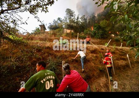 Sever do Vouga, Portugal. 16 septembre 2024. Les villageois et les pompiers combattent un feu de forêt à Busturenga. Les villageois et les pompiers combattent un feu de forêt à Busturenga, Sever do Vouga. Plus de 1 000 pompiers ont combattu un incendie de forêt dans le nord du Portugal alors que les responsables avertissaient que des milliers d'hectares étaient menacés par la flambée des températures dans tout le pays. 3 personnes ont été confirmées mortes lors des incendies au Portugal près de Sever de Vouga. (Photo de Diogo Baptista/SOPA images/SIPA USA) crédit : SIPA USA/Alamy Live News Banque D'Images
