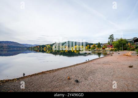 Vue sur le Titisee près de Titisee-Neustadt dans la Forêt Noire et la nature environnante. Paysage au bord du lac en automne. Banque D'Images