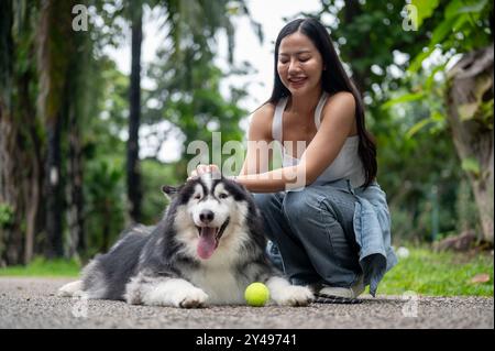 Un beau chien Husky sibérien est allongé dans une rue dans un parc avec une balle de tennis et son propriétaire à proximité, ayant un bon moment dehors ensemble. Une femelle Banque D'Images