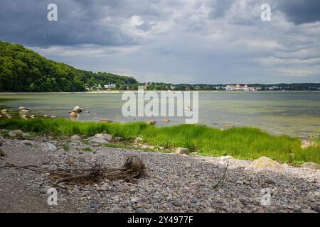 Côte sur l'île de Ruegen (Allemagne) près de Binz par une journée nuageuse en été, plage de gravier, herbe verte Banque D'Images