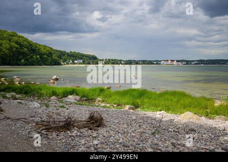 Côte sur l'île Ruegen Allemagne près de Binz par une journée nuageuse en été, plage de gravier, herbe verte Binz Allemagne Banque D'Images