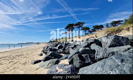 Plage de Matray, île de Ré, deux-Sèvres, France Banque D'Images