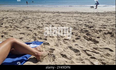 Plage de Matray, île de Ré, deux-Sèvres, France Banque D'Images