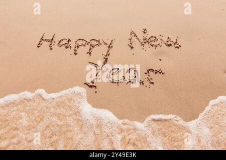 inscription bonne année au bord de la mer avec des palmiers Banque D'Images