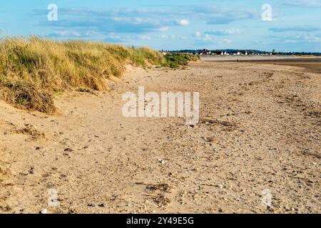 La plage de Snettisham soutenue par de l'herbe marram, à West Norfolk sur la rive est du Wash. La vue est au sud. Banque D'Images