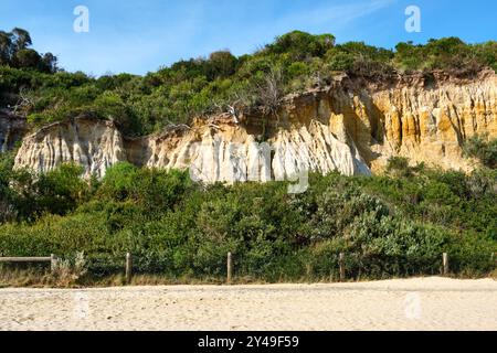 Une falaise de grès dans la structure des dunes le long de Sandringham Beach dans la baie de Port Phillip, Melbourne, Victoria, Australie. Banque D'Images