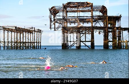 Brighton Royaume-Uni 17 septembre 2024 - les nageurs en mer tôt le matin passent par la jetée ouest de Brighton sous le soleil d'automne comme un temps plus chaud et ensoleillé est prévu pour le reste de la semaine dans certaines parties du Royaume-Uni : crédit Simon Dack / Alamy Live News Banque D'Images