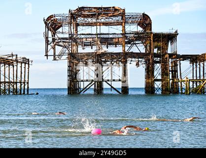 Brighton Royaume-Uni 17 septembre 2024 - les nageurs en mer tôt le matin passent par la jetée ouest de Brighton sous le soleil d'automne comme un temps plus chaud et ensoleillé est prévu pour le reste de la semaine dans certaines parties du Royaume-Uni : crédit Simon Dack / Alamy Live News Banque D'Images