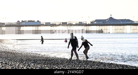 Brighton Royaume-Uni 17 septembre 2024 - les nageurs de mer tôt le matin apprécient le soleil d'automne sur la plage de Brighton car un temps plus chaud et ensoleillé est prévu pour le reste de la semaine dans certaines parties du Royaume-Uni : crédit Simon Dack / Alamy Live News Banque D'Images