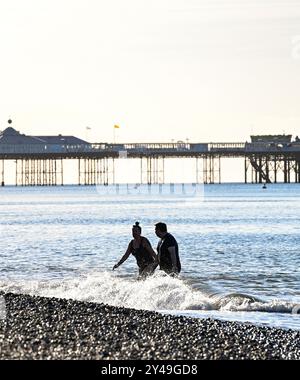 Brighton Royaume-Uni 17 septembre 2024 - les nageurs de mer tôt le matin apprécient le soleil d'automne sur la plage de Brighton car un temps plus chaud et ensoleillé est prévu pour le reste de la semaine dans certaines parties du Royaume-Uni : crédit Simon Dack / Alamy Live News Banque D'Images