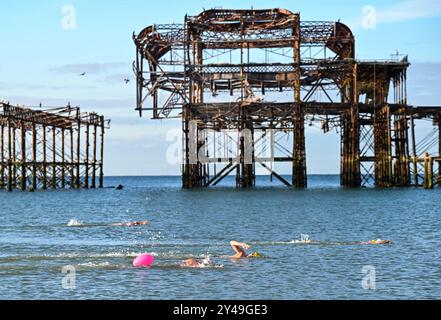 Brighton Royaume-Uni 17 septembre 2024 - les nageurs en mer tôt le matin passent par la jetée ouest de Brighton sous le soleil d'automne comme un temps plus chaud et ensoleillé est prévu pour le reste de la semaine dans certaines parties du Royaume-Uni : crédit Simon Dack / Alamy Live News Banque D'Images