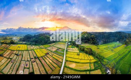 Panorama de rizières et du mont Agung à Bali, Indonésie. Banque D'Images