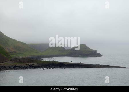 Vue brumeuse de Giant Causeway en Irlande du Nord avec des touristes sur les formations rocheuses de basalte. Le temps brumeux renforce l'atmosphère paisible Banque D'Images