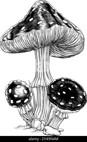 Champignons Toadtabourets Vintage gravé Woodcut Illustration de Vecteur