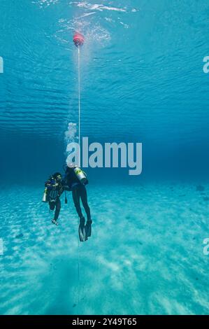 Deux plongeurs dans une eau peu profonde bleu clair faisant leur arrêt de sécurité se tenant à la ligne SMB Banque D'Images