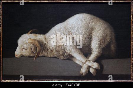 L'Agneau de Dieu L'Agneau mystique Agnus Dei (CA 1635-1640) de Francisco de Zurbarán. Surnommé Caravage espagnol. Agnus Dei. Dans le cadre. Banque D'Images