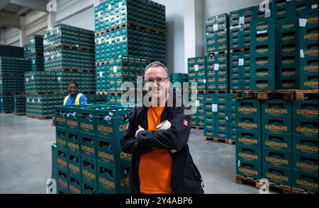 PRODUCTION - 17 septembre 2024, Bavière, Munich : Steffen Marx, fondateur et directeur général de Giesinger Biermanufaktur, se tient devant des caisses de bière dans l'entrepôt de la brasserie. Pendant des décennies, il n'y avait que six brasseries munichoises originales, mais Giesinger Bräu est récemment devenue la septième bière à les rejoindre - et veut maintenant aller à la Wiesn. Photo : Lukas Barth/dpa Banque D'Images