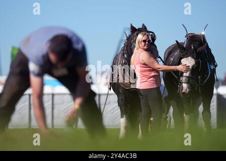 Emma Nott de Macroom regarde son petit ami Jeremih Delaney aux championnats de labour à Ratheniska, Co Laois. Date de la photo : mardi 17 septembre 2024. Banque D'Images