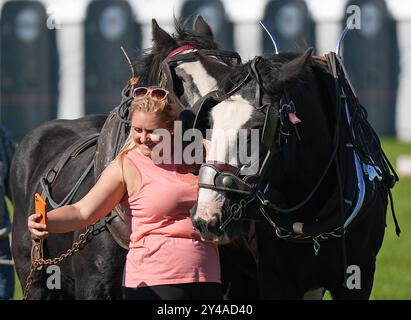 Emma Nott de Macroom prend un selfie avec les chevaux Paddy et Toby aux championnats de labour à Ratheniska, Co Laois. Date de la photo : mardi 17 septembre 2024. Banque D'Images