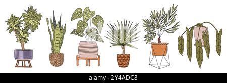 Ensemble de différentes plantes de maison isolées sur blanc Illustration de Vecteur