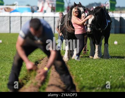 Emma Nott de Macroom regarde son petit ami Jeremih Delaney aux Championnats nationaux de labour à Ratheniska, Co Laois. Date de la photo : mardi 17 septembre 2024. Banque D'Images