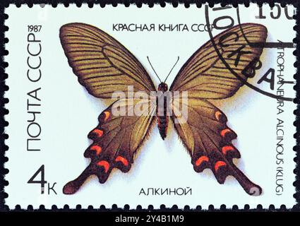 URSS - VERS 1987 : un timbre imprimé en URSS montre un papillon chinois de moulin à vent (Atrophaneura alcinous) Banque D'Images