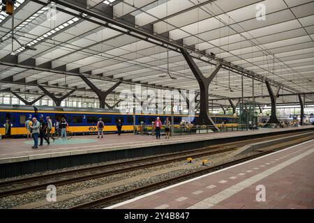 Quais de gare par une journée ensoleillée à Rotterdam Centraal Station, pays-Bas Banque D'Images