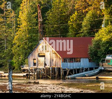 Ancien bâtiment abandonné à la lumière du soir, sur le front de mer à marée basse. Le hangar à bateaux et le loft net se détériorent, les vieux pieux et le toit rouge. Banque D'Images