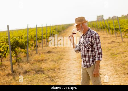 Dans la lueur dorée du coucher du soleil, un homme âgé dans un chapeau de paille profite d'un verre de vin rouge, immergé dans la beauté tranquille de son vignoble tentaculaire, réf Banque D'Images