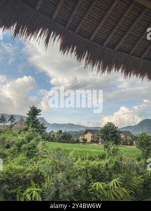 Beau paysage avec des rizières et des montagnes en arrière-plan. Région de Sidemen, île de Bali Banque D'Images