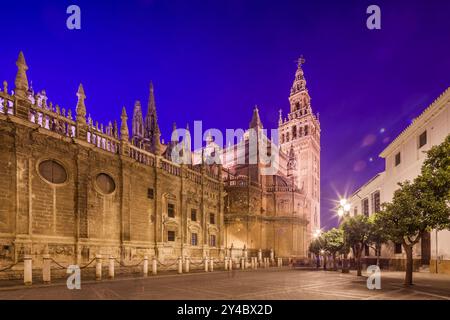 La magnifique cathédrale de Séville se dresse majestueusement sous le ciel nocturne, mettant en valeur son architecture et son histoire complexes. Banque D'Images