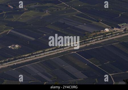 Vue de verger pommier, verger, agriculture, agriculture, vallée du Passeier, Merano, Merano, Tyrol du Sud, Province autonome de Bolzano, Italie, Europe Banque D'Images