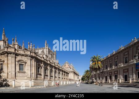 Séville, Espagne, Sep 30 2009, les visiteurs se promènent le long du côté sud de la cathédrale de Séville, en admirant la vue sur le majestueux Archivo de Indias sous un clair Banque D'Images