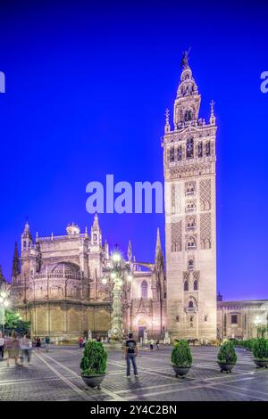 Les visiteurs admirent l'architecture étonnante de la tour Giralda contre un ciel crépusculaire à Séville, capturant l'essence de la culture andalouse. Banque D'Images