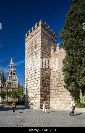 Séville, Espagne, septembre 30 2009, les visiteurs se promènent le long de l'impressionnant côté sud de la cathédrale de Séville et les murs du Real Alcazar, mettant en valeur le riche héri Banque D'Images