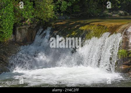 Petite cascade avec mousse verte sur les pierres entourées d'arbres luxuriants par une journée ensoleillée, Garganta Mayor, Garganta la Olla, Sierra de Tormantos, Caceres Banque D'Images