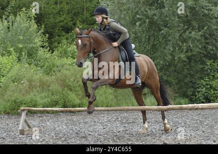 Cavalier avec gilet de protection dans le saut Banque D'Images