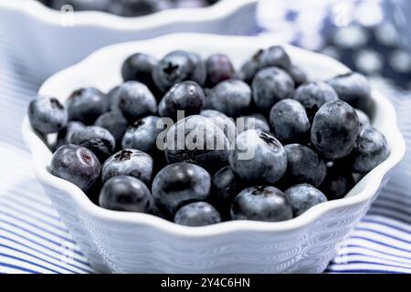 Bleuets dans un petit bol blanc sur un fond bleu clair, gros plan Banque D'Images