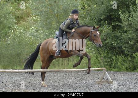 Cavalier avec gilet de protection dans le saut Banque D'Images