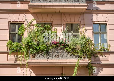 Grüner Balkon, Altbau, Kopischstraße, Kreuzberg, Berlin, Deutschland *** balcon vert, bâtiment ancien, Kopischstraße, Kreuzberg, Berlin, Allemagne Banque D'Images