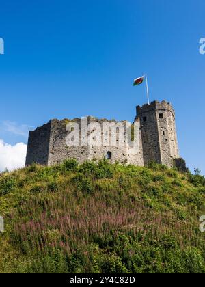 The Norman Keep, château de Cardiff, Cardiff, pays de Galles, Royaume-Uni, GB. Banque D'Images