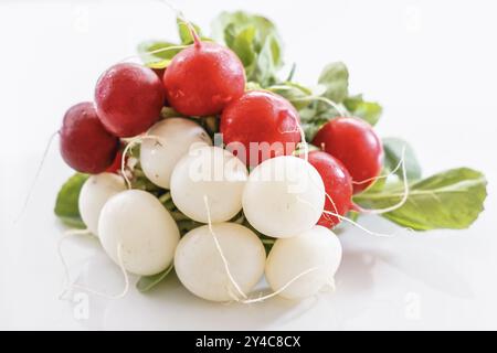 Bouquet de radis rouges et blancs sur fond blanc Banque D'Images